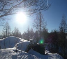 Zimski tabor na Komni - PS PT Nova Gorica
